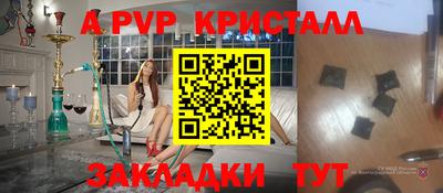spice Кингисепп